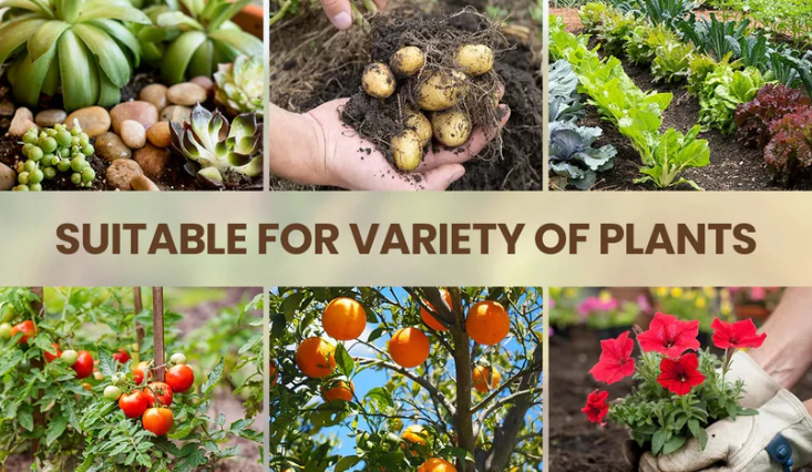 Soil Activated Treasure Premium Soil Activator 200gram (Buy 1 Get 1 Free)🔥